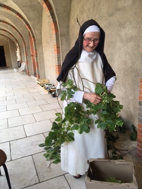 Une sœur tenant des branches de tilleul dans le cloître